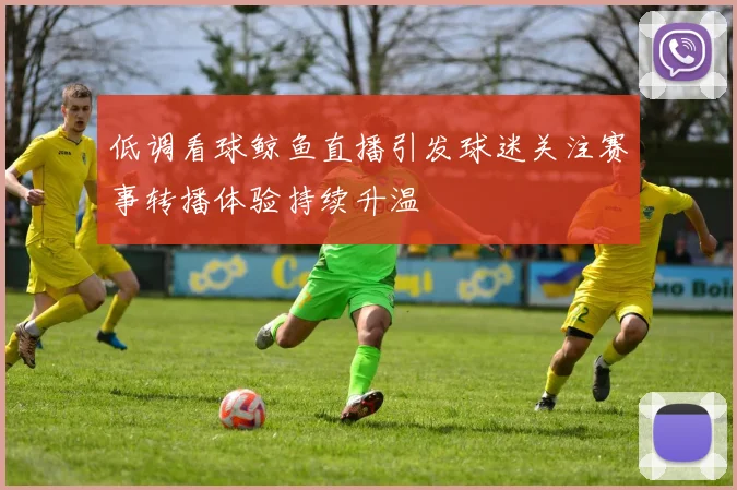 低调看球鲸鱼直播引发球迷关注赛事转播体验持续升温